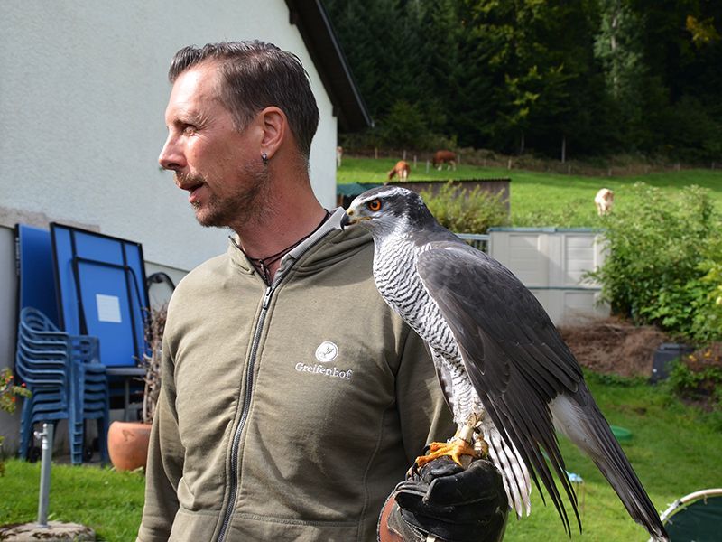 NaturFilm-Abend: «Adlerjägerin» – Die Tradition der Beizjagd