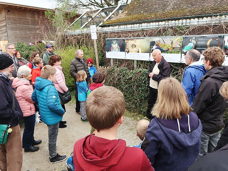 Familientag bei den Greifvögeln 2