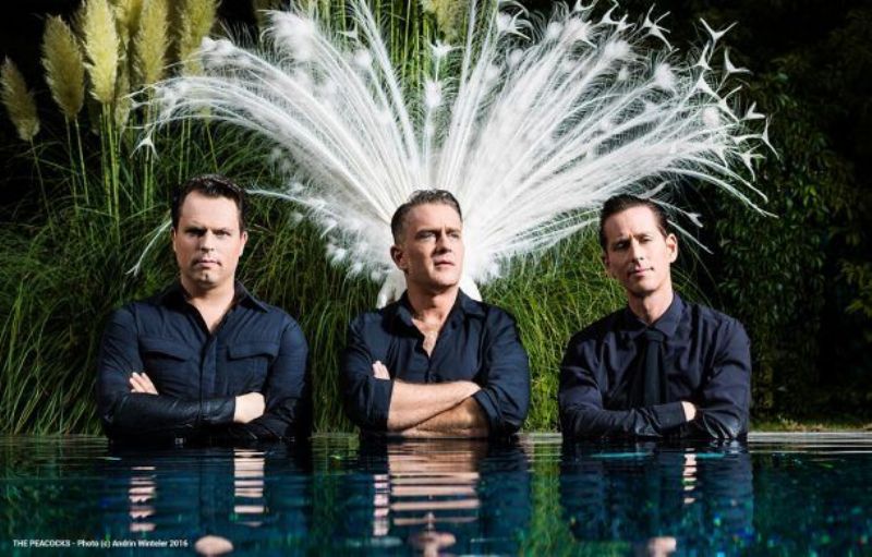 The Peacocks & The Monsters