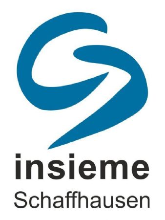 insieme Weihnachtsdisco