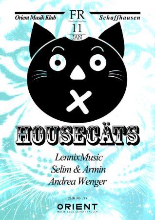Housecäts