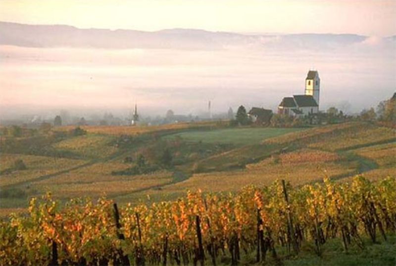 Hallauer Herbstsonntag