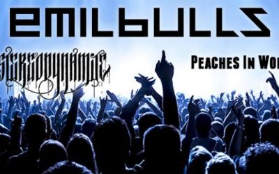 Meet The Beat OpenAir Lottstetten 2016