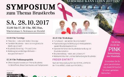 Rheinfall in Pink