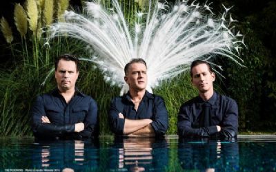 The Peacocks & The Monsters