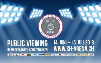 Hülse Arena WM 2018