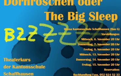 Dornröschen oder The Big Sleep