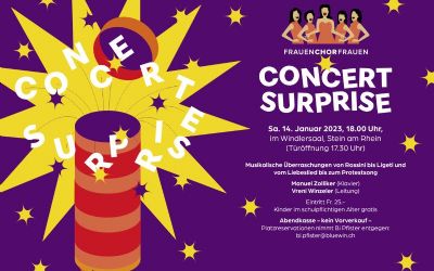 FrauenChorFrauen - Concert Surprise