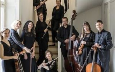 Camerata Variabile - «Stainless Steel»