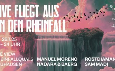 Hive fliegt aus an den Rheinfall