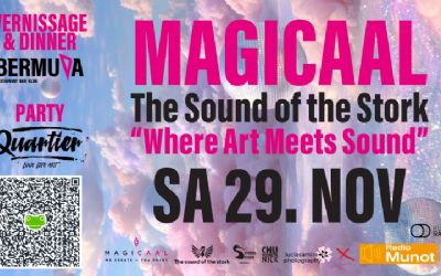 MAGICAAL x The sound of the stork - Where Art Meets Sound