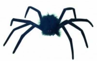 Die Schwarze Spinne