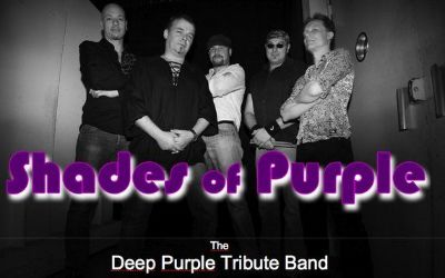Shades Of Purple